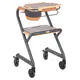 Indoor Walker WR50 mobility equipment